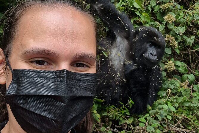 1 Day Gorilla Trekking Safari in Rwanda Volcanoes National Park - Final Thoughts
