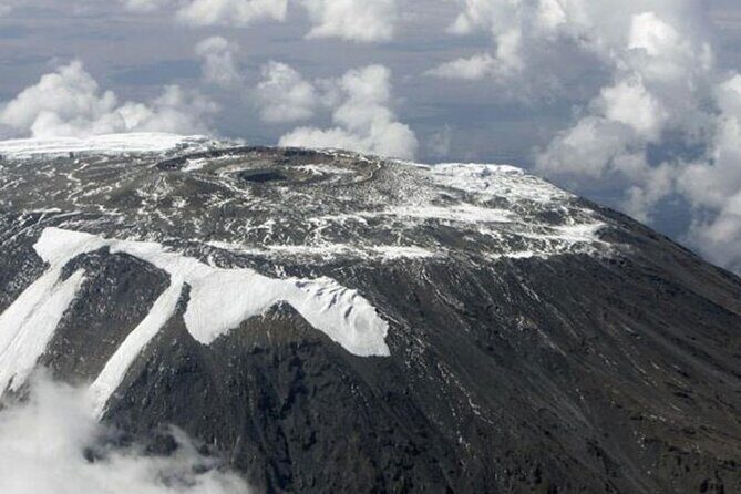 1 Day: Hiking Majestic Kilimanjaro - Who Is This Tour Best Suited For?