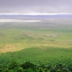 1 Day Joined Group Safari in Ngorongoro Crater National Park - Deep Dive into the Itinerary