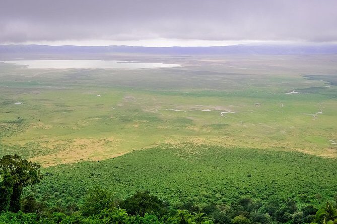 1 Day Joined Group Safari in Ngorongoro Crater National Park - Deep Dive into the Itinerary