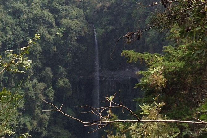 1 Day Kilimanjaro forest (mambori waterfalls). - An In-Depth Look at the Tour Experience
