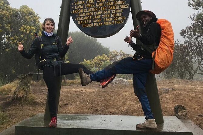 1 Day Kilimanjaro Hiking - Machame Route - The Experience: What Travelers Can Expect