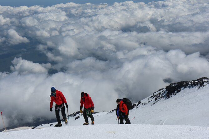 1 Day Marangu route trip up to Mandara Hut | Kilimanjaro hiking - What’s Included and What’s Not?