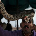 1 day Marrakech excursion leaving from Agadir - Authentic Insights from Reviewers