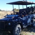1 Day Moremi Game Drive Safari, guided - Detailed Itinerary Breakdown