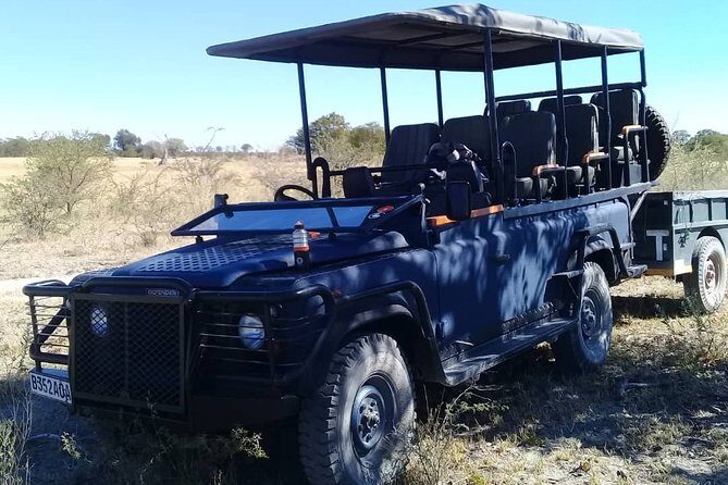 1 Day Moremi Game Drive Safari, guided - Detailed Itinerary Breakdown
