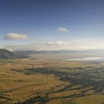 1 Day Ngorongoro Crater Group Jioning Safari - What Sets This Tour Apart?
