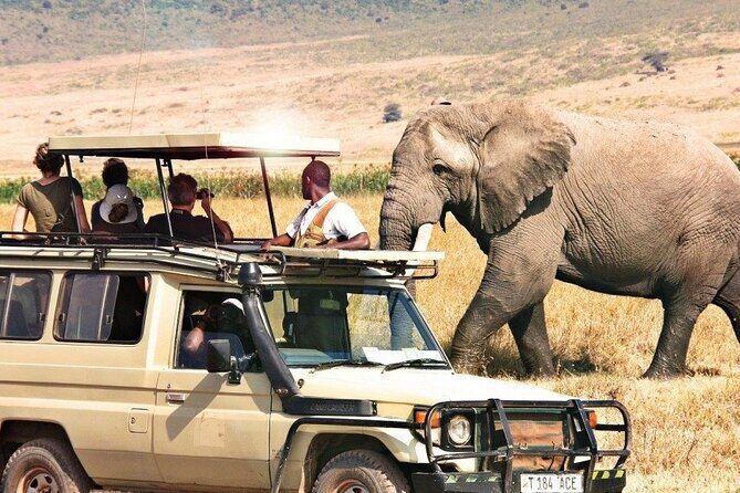 1 Day Private Ngorongoro Crater Safari - Itinerary Breakdown and What You Can Expect