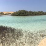 1 Day Private Trip to Ras Mohamed By Car From Sharm-el-Sheikh - The Authentic Experience: What Travelers Say