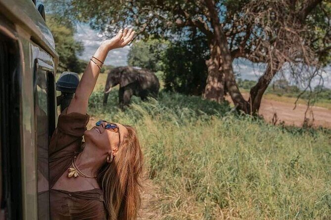 1. Day safaris to Mikumi by Train from dar es salaam - Why This Tour Offers Great Value