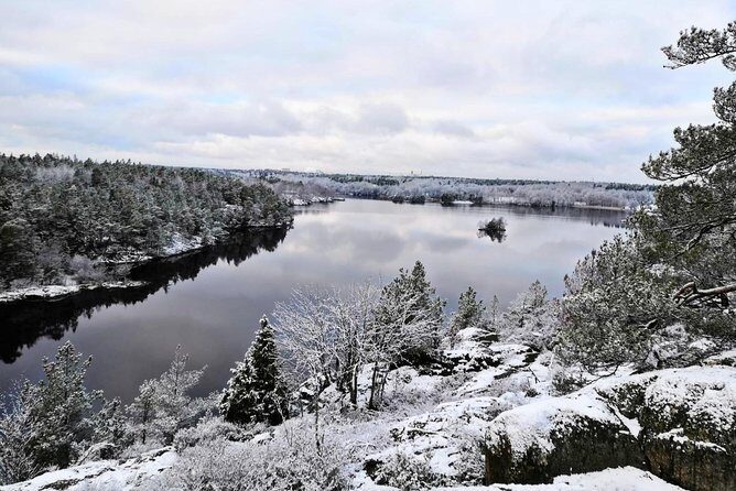 1-Day Small-Group Stockholm Nature Hiking - Who’s It Perfect For?