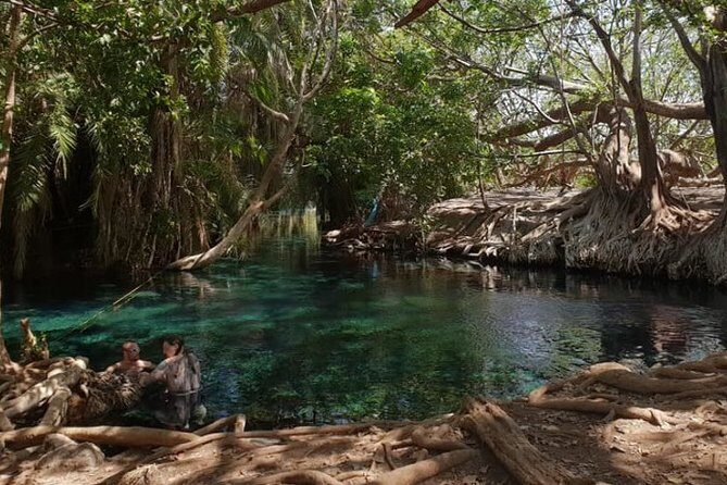 1 Day Tour Hot Spring (Majimoto) - Practical Details and Value