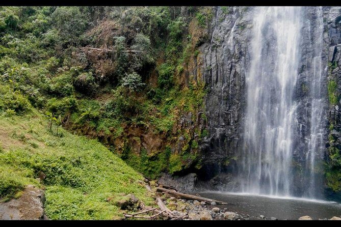 1 Day Tour to Materuni Waterfalls and Coffee Tour - The Value of This Tour