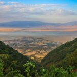 1-Day Tour to Ngorongoro Crater - The Experience of Guided Safari Adventure