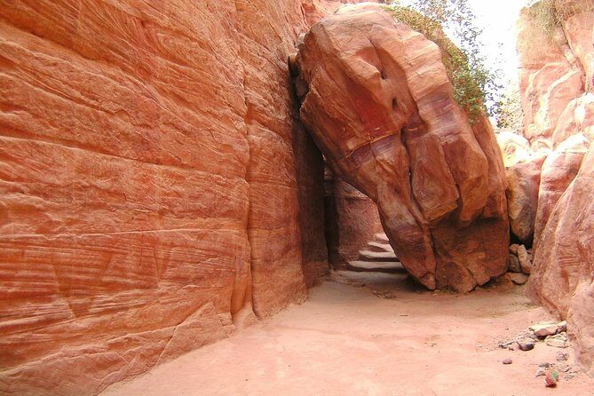 1 Day Tour to Petra From Sharm-el-Sheikh - FAQs