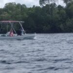 1 day trip to Funzi island - Practical Details and Tips