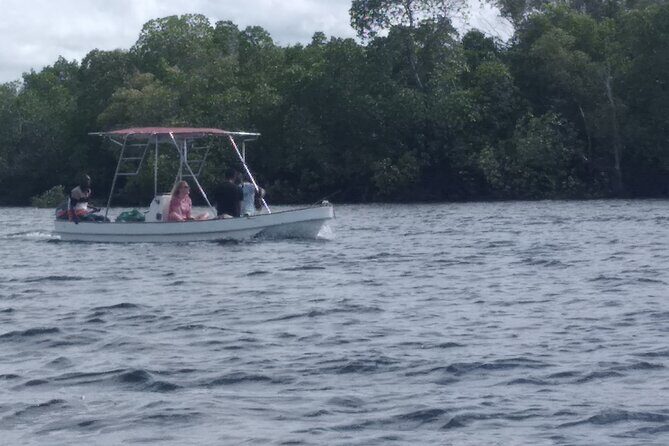 1 day trip to Funzi island - Practical Details and Tips