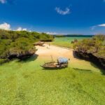 1 Day Wasini Dolphin Tour - The Review Experience: Authentic Feedback