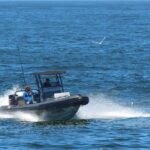 1 Day Whale Watching at Yzerfontein - Why This Tour Offers Real Value