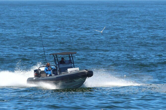 1 Day Whale Watching at Yzerfontein - Why This Tour Offers Real Value