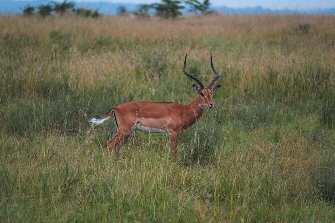 1 days Tanzania Sharing Joining group Safari - Ngorongoro Crater - Who Should Consider This Tour?