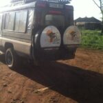 1 Daytrip Amazing to Ngorongoro Crater from Arusha or Moshi - Who Will Love This Tour?