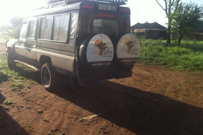 1 Daytrip Amazing to Ngorongoro Crater from Arusha or Moshi - Who Will Love This Tour?