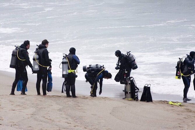 1-Hour Beach Diving Experience with Transfer from Sharm El Sheikh - The Experience from a Reviewers Perspective