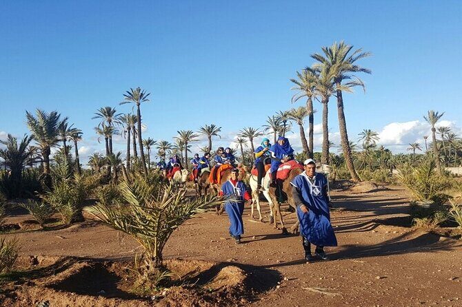 1-Hour Camel Ride and 1-Hour Quad Bike Ride in Marrakech. - FAQ: Your Questions About the Marrakech Camel & Quad Tour
