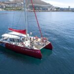 1- Hour Catamaran Cruise Cape Town - The Bottom Line