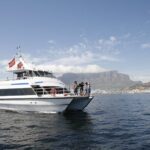1 Hour Coastal Catamaran Cruise from Cape Town - Price and Value Analysis