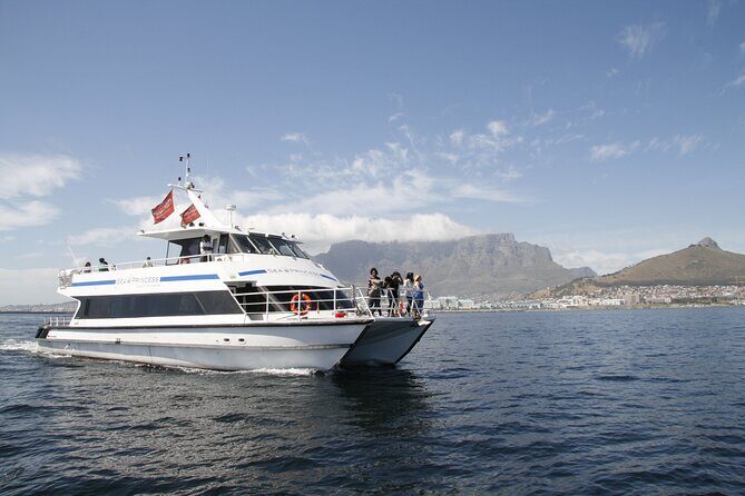 1 Hour Coastal Catamaran Cruise from Cape Town - Price and Value Analysis
