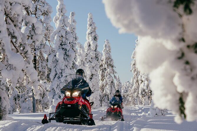 1 Hour Easy Snowmobile Safari in Levi - The Itinerary and Experience Breakdown
