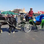 1-Hour Horse Carriage Drawn Marrakech City Tour - The Authenticity and Atmosphere