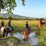 1-Hour Horse Riding Tour at Palomino Ranch Near Tbilisi - Authentic Experiences and Insights from Reviews