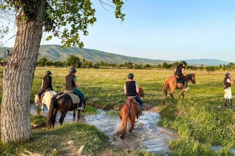 1-Hour Horse Riding Tour at Palomino Ranch Near Tbilisi - Authentic Experiences and Insights from Reviews