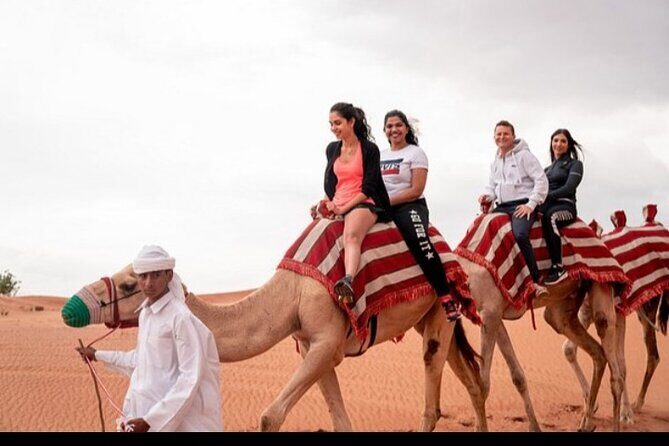 1 hour Private Camel Ride in Deep Desert - A Closer Look at the Camel Ride Experience