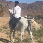 1 Hour Private Horse Riding in Madinah - The Practicalities