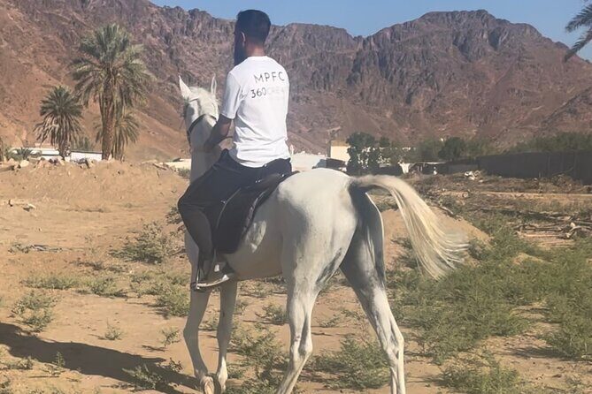 1 Hour Private Horse Riding in Madinah - The Practicalities