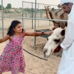 1 Hour Private Quad Biking with 30 minutes Camel Farm Visit - An In-Depth Look at the Tour Experience