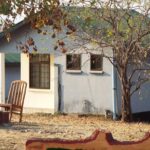 1 Night / 2 days at Mikumi National Park - Authentic Experiences and Hidden Gems