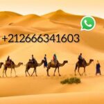 1 night Camel trek in Merzouga Desert Luxury Camp NO EXTRA - Evening Entertainment and Night in the Desert