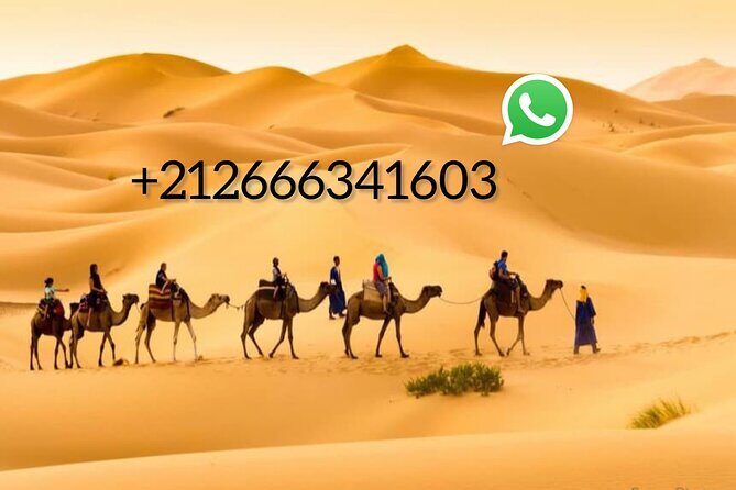 1 night Camel trek in Merzouga Desert Luxury Camp NO EXTRA - Evening Entertainment and Night in the Desert