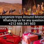 1 night Camel Treking in Merzouga Desert Luxury Camp - What Makes This Tour Special?