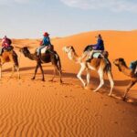 1 night Merzouga camel Trekking - Real Traveler Insights