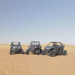 1 seater Dune Buggy Safari / In Morning - What to Expect During the Itinerary