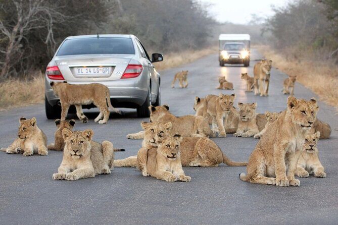 10-Day Private Tour Johannesburg to Cape Town - What Makes This Tour Stand Out