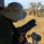 10 Day Wildlife Photographic Safari - Kruger National Park - B1 Photo Safaris - FAQ