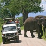 10 Days 8 Nights Tanzania Unforgettable Comfort Camping Safari - What Makes This Tour Special?