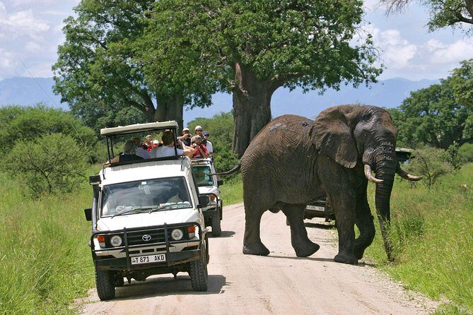 10 Days 8 Nights Tanzania Unforgettable Comfort Camping Safari - What Makes This Tour Special?